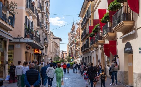 Brazen pickpockets prey on vulnerable tourists as vacation island is swarmed by millions