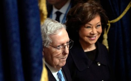 McConnell's wife, Elaine Chao, saw no need for 'immediate return' from China as former GOP leader hospitalized