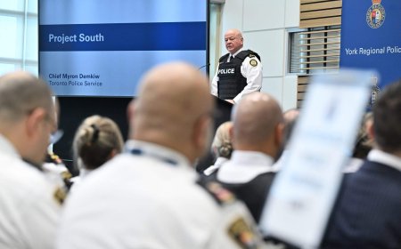 Toronto police corruption investigation uncovers alleged cannabis ‘dispensary conspiracy’