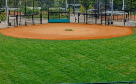 Vegas Little League president accused of spending league money on strip clubs and erectile dysfunction meds