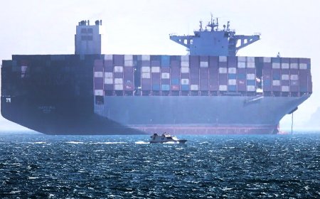 SEN TODD YOUNG: The hidden danger China’s ships could bring to our shores