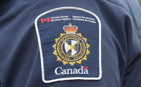 Charges laid in alleged fraud scheme targeting international students: CBSA
