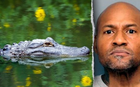 Officers in Maryland respond to reported assault, discover guns and unusual group of animals