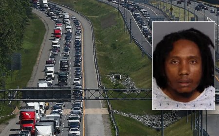 Deadly illegal immigrant truck crash exposed failures on the road and at the border: key senator