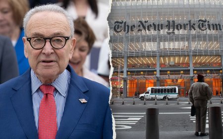 GOP senator accuses NYT of sitting on bombshell allegation to protect Schumer, Dems