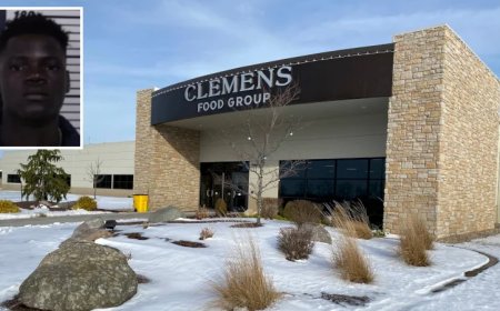 Haitian Illegal Charged With Murdering Colleague at Michigan Meat Processing Plant