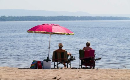 Canadians over 65 more worried about climate change than youth, StatCan says