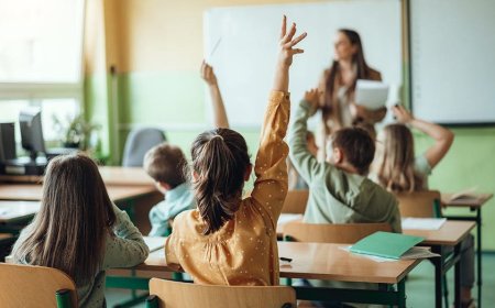 Explosive report finds $225M in alleged K-12 education fraud amid Trump's crackdown: 'Especially hideous'