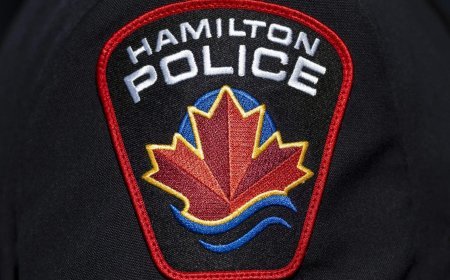 Boys aged 12 and 11 suspects in assault on another child, Hamilton break-in: police