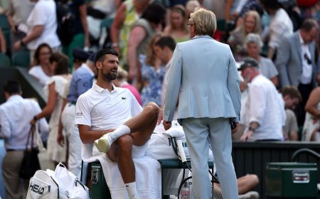 Novak Djokovic gets in heated argument with Wimbledon official over roof during thrilling quarterfinal win