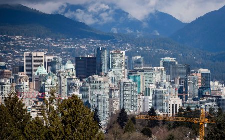 Mom-and-pop landlords outpacing big real estate investors: StatCan data