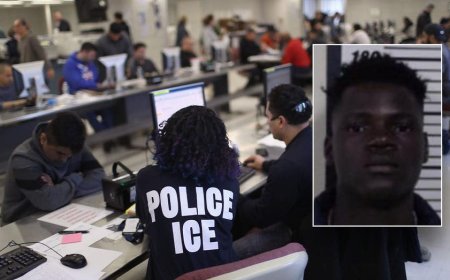 ICE asks Michigan to hold Haitian illegal alien who allegedly 'barbarically stabbed' coworker