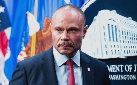 Dan Bongino says Democrats dumped Graham Platner over 'power' not 'principle' after bombshell rape allegation