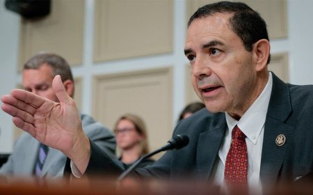 House Dem back in the spotlight as brother faces up to 10 years in prison if convicted