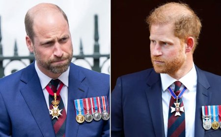 Prince William 'no longer recognizes' Prince Harry as security battle leaves duke 'close to tears': expert