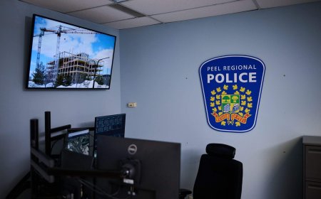 Peel police officers suspended over Project South return to active duty