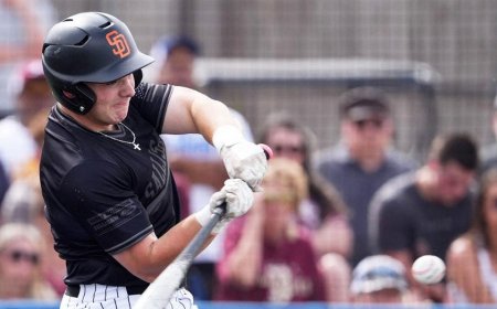 Parents, fans furious with puzzling decision that could make high school baseball far more dangerous