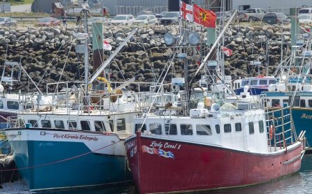 Indigenous lobster fishing: N.S. judge says dispute must be handled by Ottawa