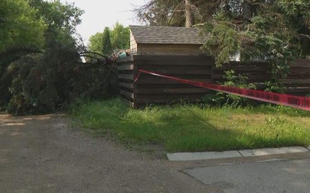 Stormy Saskatoon night leads to power outages, sparks fires