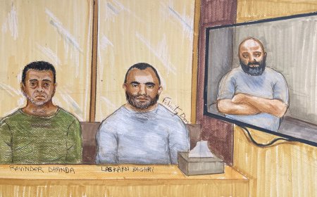3 B.C. men facing drug trafficking charges from U.S. authorities appear in court