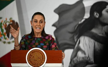 Mexican President Vows To Take Legal Action Against US ICE Agents After Illegal Alien In Texas Shot Dead For Ramming Car Into Agents