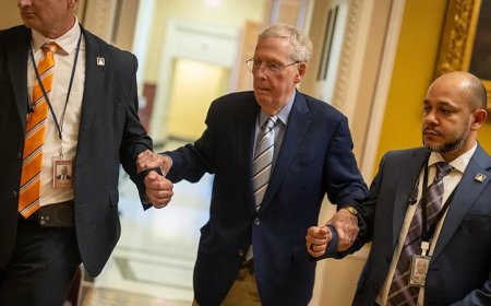 Trump Says He Has ‘No Idea’ About Mitch McConnell’s Condition, As Calls for Proof of Life Grow