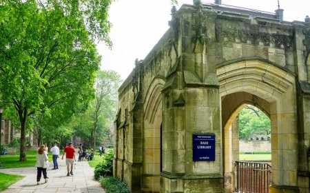Just 1 in 10 Ivy League trustees are Republican; Yale has none, report finds