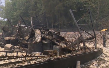 B.C. resort owner says devastating wildfire was like a ‘Michael Bay film’