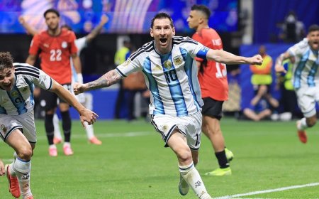 Airplane passenger goes viral for streaming Argentina's miraculous World Cup comeback for the entire plane