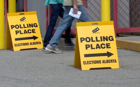 Elections Alberta says ‘spoof’ website’s voter info is all fake