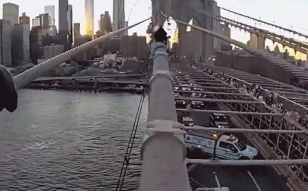 Dramatic bodycam captures NYPD officer rescuing woman from top of Brooklyn Bridge after emotional plea