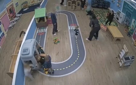 WATCH: California parents sue luxury daycare after toddler allegedly tossed into air, dropped on head