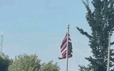 Upside-down American flag at Minnesota Somali celebration sparks community chaos: 'Unfathomable'