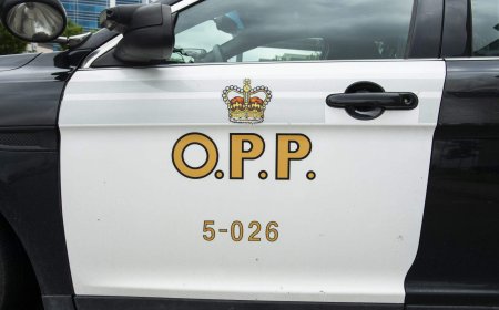 Driver clocked at nearly 200 km/h on Ontario highway: OPP
