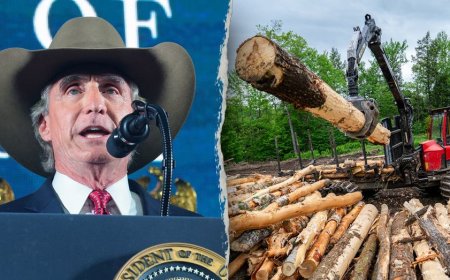 Trump admin scraps ‘weaponized’ wildlife rule that became 'burden' on American families and businesses: Burgum