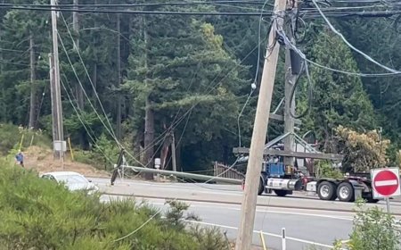 Truck brings down power lines, starts small brush fire on Malahat