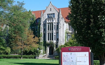 AI backlash reaches major university with bold ban on laptops and phones for law students