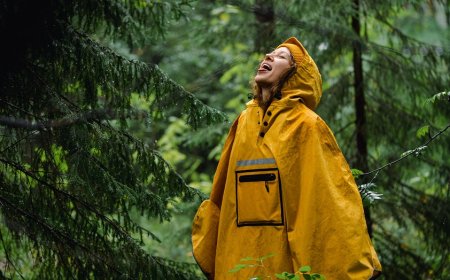 Stay dry with these rainy day essentials, starting at just $15