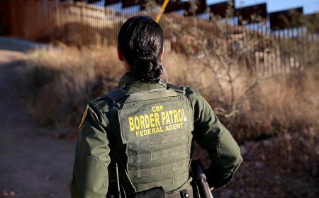 Border agents crack open cabbage shipment hiding multimillion-dollar secret at Texas border