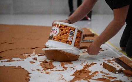 Art museum covers gallery floor in peanut butter to honour late Dutch artist