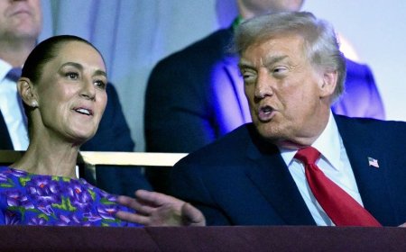 Mexico vows US will pay after ICE fatally shoots illegal migrant who allegedly attempted to ram agent with car