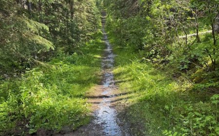 Kananaskis drying up after recent floods but some trails remain closed