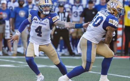 Newcomer Dru Brown leads Winnipeg Blue Bombers to 2nd straight win