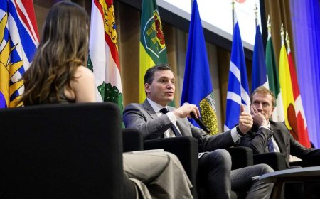 How the federal government’s proposed digital regulator would work