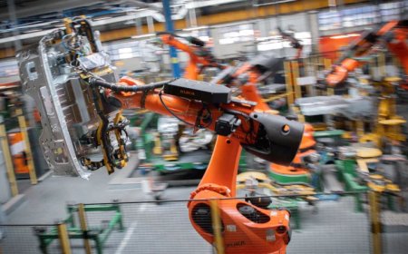The Big Immigration Lie: France Urged to Embrace Robotics Over Immigration