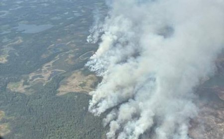 Veteran pilot killed fighting N.W.T. wildfire was a trusted leader and patient mentor