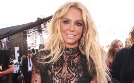 Britney Spears stands through sunroof at 45 mph on Studio City freeway after DUI charge was dropped