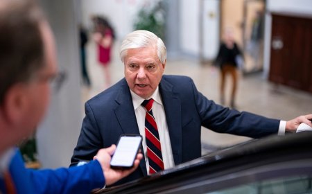 Media ghouls, commentators across political aisle mock Lindsey Graham’s death with ‘good riddance’ posts