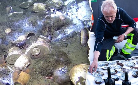 'Spectacular' shipwreck found with underwater time capsule of untouched cargo: 'Amazing find'