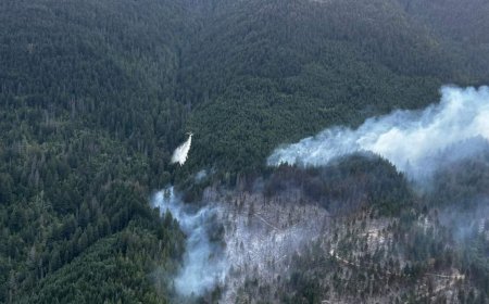 B.C. Wildfire Service calls for compliance amid reports of speeding and drone flights